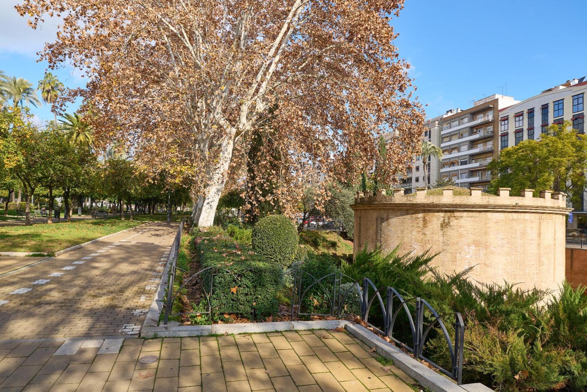 Apartamento Centro Córdoba Exterior foto